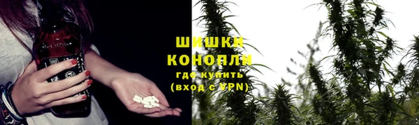 крисы Балахна