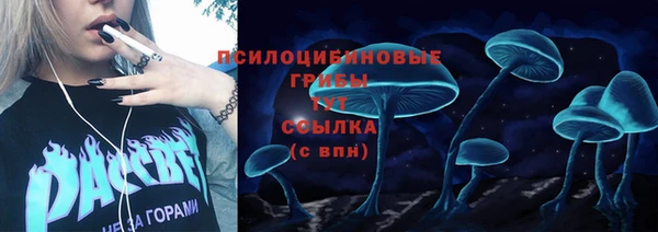 ПСИЛОЦИБИНОВЫЕ ГРИБЫ Балабаново