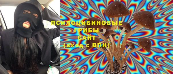 ПСИЛОЦИБИНОВЫЕ ГРИБЫ Балабаново