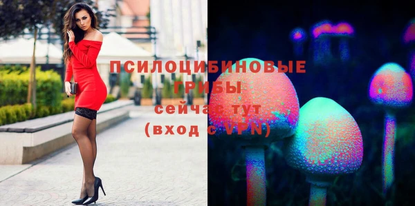 крисы Балахна