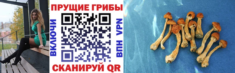 Псилоцибиновые грибы Magic Shrooms Пятигорск