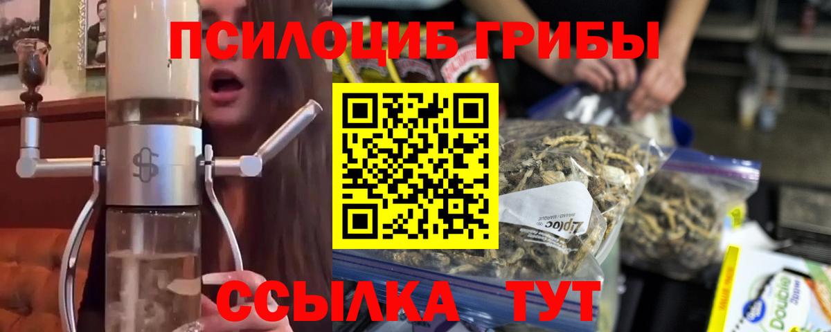Пятигорск  Галлюциногенные грибы Cubensis  Галлюциногенные грибы Magic Shrooms  Вход с VPN 